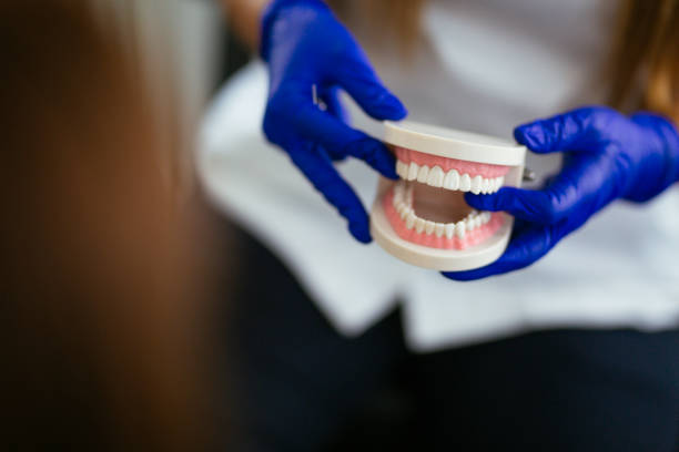  Trappe, MD Holistic Dental Services Pros